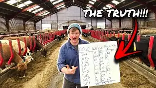 THE WORLDS BEST FARMER? OR A WASTE OF TIME?... HOW GOOD AM I AT DAIRY FARMING??