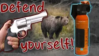 Bear Spray vs. Pistol: Which Is Better for a Bear Encounter? (Tip)