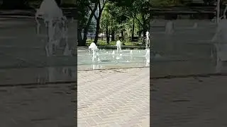 Фонтан Парк Омск 