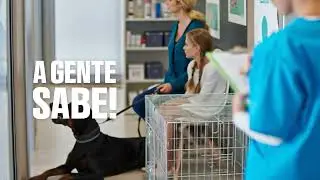 PETMOURA | Facilite o dia a dia da sua Clínica ou Hospital Veterinário com o PetMoura!