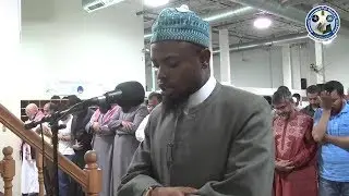 تلاوة هادئة و خاشعة من طرف عكاشة .. ولا أروع