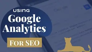 Google Analytics for SEO - Small Local Business