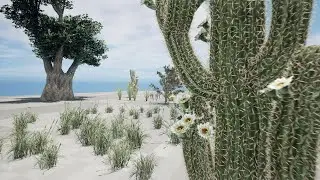 desert plants and trees Animation by unreal engine with 3d files