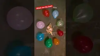 REALITY vs SLOWMO 🎥