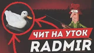 🦆 ЧИТ + ВХ НА УТОК 🎁 RADMIR RP 🦆