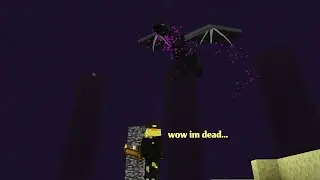 So I beat the enderdragon in my survival world...