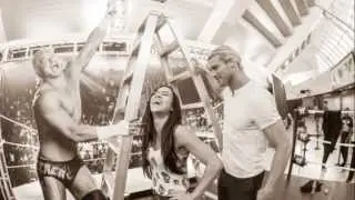 WWE.com: AJ Lee's WrestleMania 29 Diary