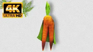 Green Screen Walking Carrot  - Footage 4K