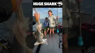 🦈 Kids Catch Baby Jaws 