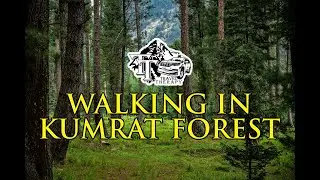 KUMRAT FOREST | WALKING | 4K GOPRO