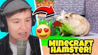 HAMSTER LEBT IN MINECRAFT WELT?!