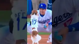 This one’s for the Dog Lovers. ❤️🦴⚾️❤️🦴⚾️ Decoy & Shohei Ohtani