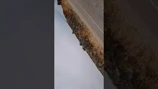 Böylelerine dikkat edin öldürebilir.