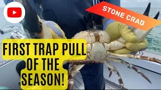 Stone Crabbing, First Haul of the Season!