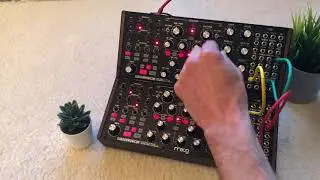 Moog Subharmonicum x 2