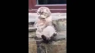 Устал от всего…