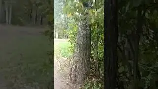 Пситеррор. Пермь. 1часть