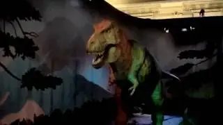 LONDON - Angry T Rex at Natural History Museum