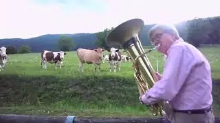 Bill gates  is a cow wisperer.
