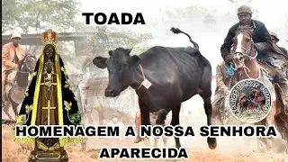Toada em Homenagem a Nossa Senhora Aparecida 12 de Outubro