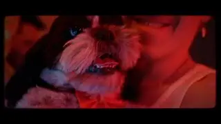 Alex Parker - Satisfied (feat. Bastien) (Official Music Video)