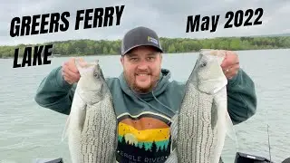 Greers Ferry Lake 2022.  Hybrid and White Bass Fishing!