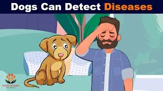 How Can Dogs Detect Human Diseases?