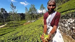 Sri Lanka 2016 / Шри Ланка 2016