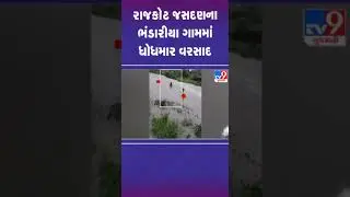 રાજકોટ જસદણના ભંડારીયા ગામમાં ધોધમાર વરસાદ | #rajkot #gujarat #shorts