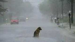 В городе дождь