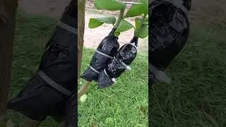 #How