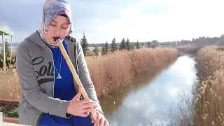 Ferdi Tayfur  - Bilemezsin Sen ( Ney Cover Versiyon )