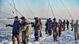 THE FISH IS GOING AND THE CROWD IS COMING! SIGI, LENK, HARIUS! WINTER EXTREME FISHING IN SIBERIA