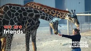 Zoo Miami