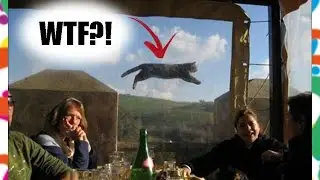 15 Foto Scattate al Momento Giusto (o sbagliato) [EPICO] [NON E' UNO SCHERZO]