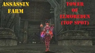 Lineage 2 Essence - Tower of Elmoreden (Top Spot)