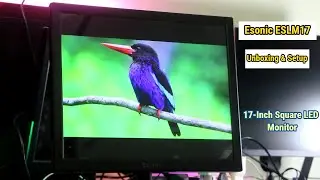 ESONIC ESLM17 17-Inch Square LED Monitor Unboxing,Assembly & Features