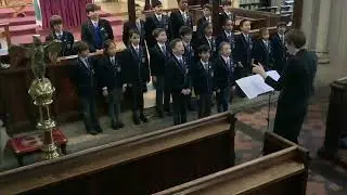 IMG 0492