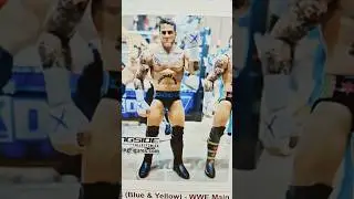 FIRST EVER!! CM PUNK WWE Toy Out NOW at Ringside Collectibles before it's too late! #wwetoys #cmpunk