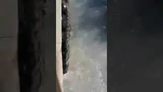 Ałtaj, droga do bazy Aktru