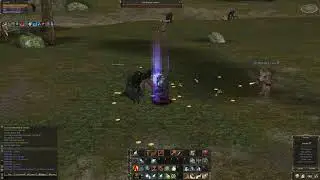 Lineage II 2021  Top x1 solo EXP Necromancer 47+