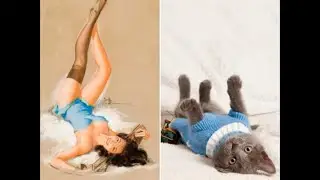 Cats Posing As Pinup Girls