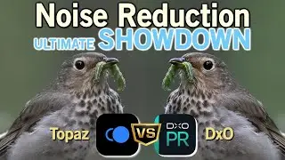 Noise Reduction Showdown - DxO vs Topaz