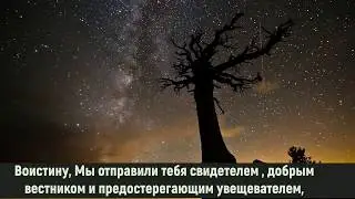 Красивейшее чтение Корана. Сура Аль-Фатх. (Победа) 1-9 аяты