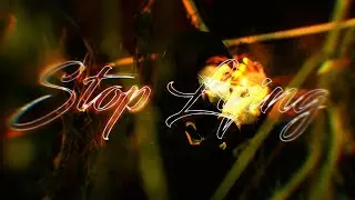 MemoTheMafioso - 