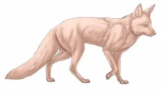 Quick Fur Shading in Paint Tool Sai