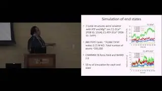 The Mechanism of the Sarco/Endoplasmic Reticulum ATP-Driven Calcium Pump