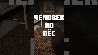 Человек, но ПЁС. ЧЕЛОПЁС! Сталкер #shortsvideo #shorts