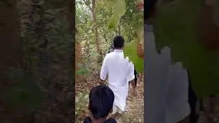 সবচেয়ে উচু পাহাড় মধুটিলা ইকো পার্কের