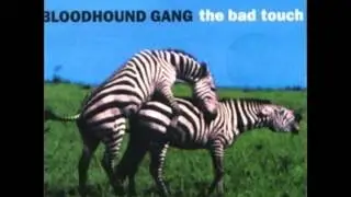 Bloodhoung gang the bad touch